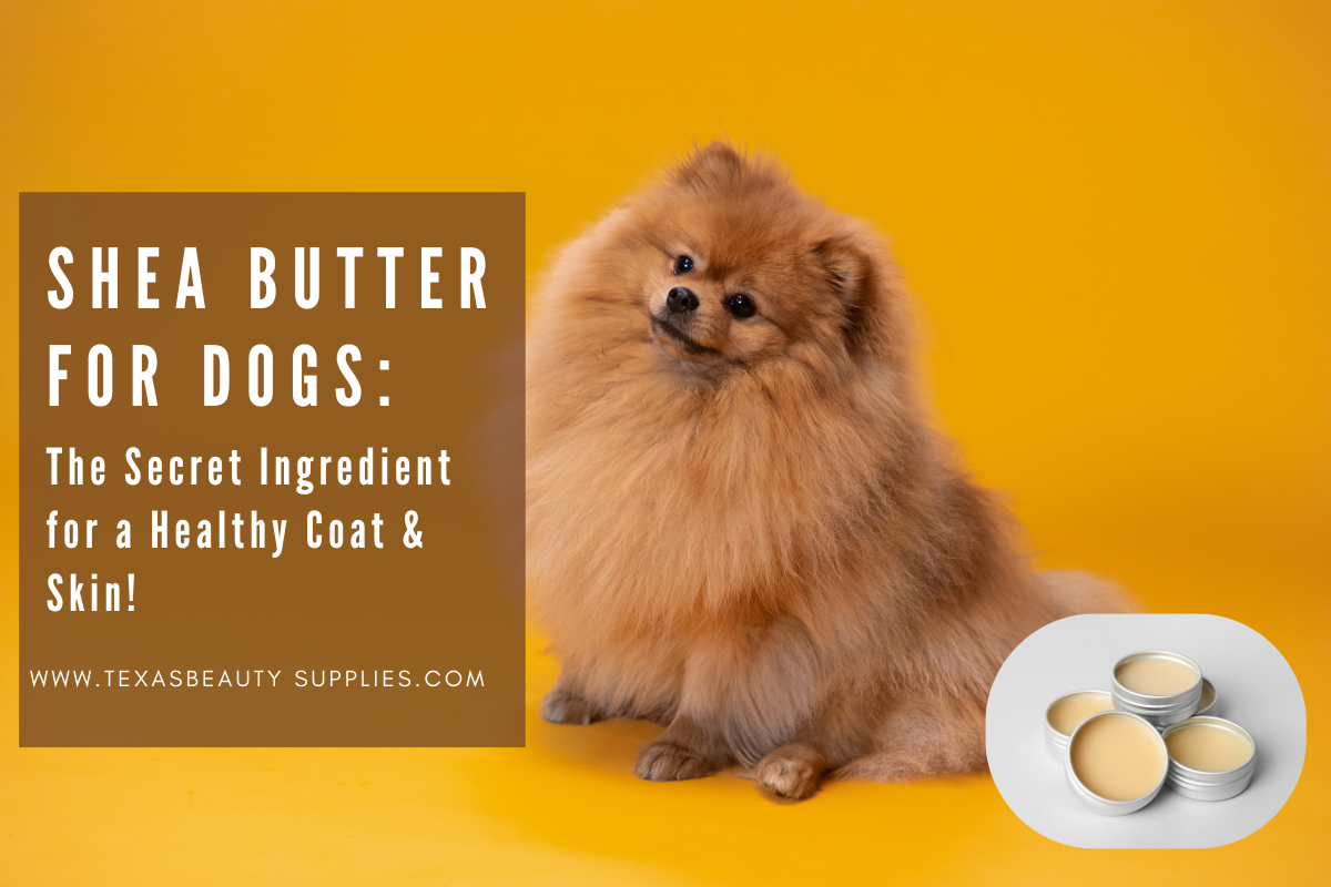 shea butter for dogs