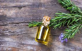 Rosemary oil for hair growth recipe